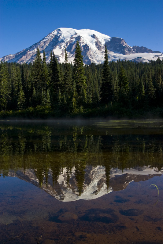 Mount Rainier Reflected In Reflection Lake